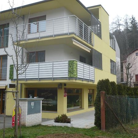 Apartman Anezka Лугачовице Экстерьер фото